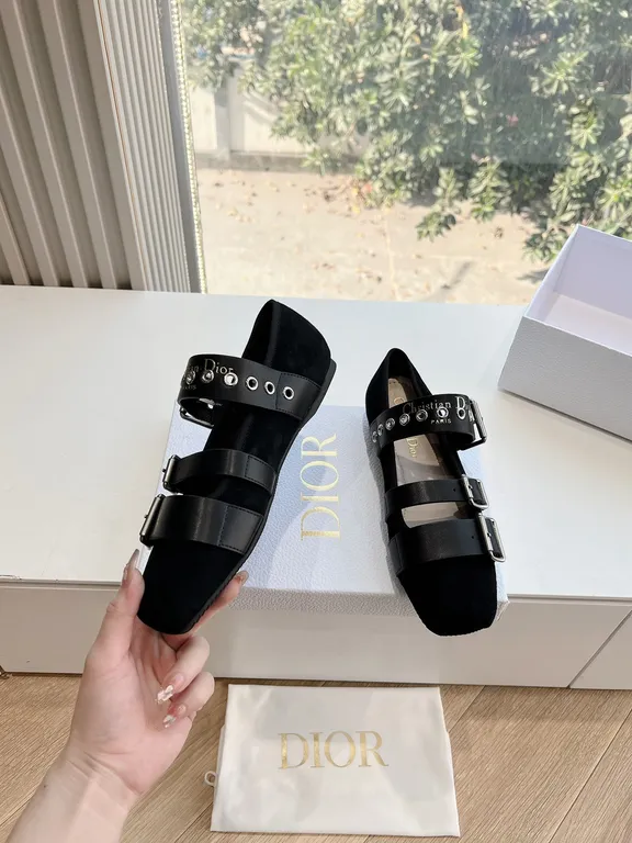 Dior Shoe 